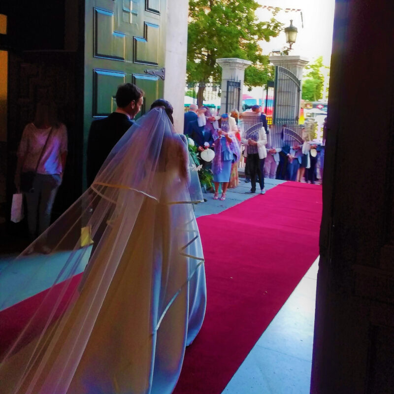 alfombra roja alta calidad 2 metros ancho